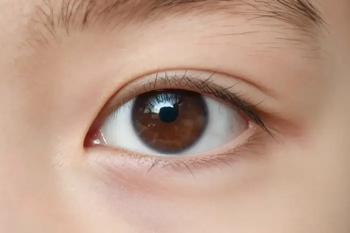 Оптическая система глаза_ функции и возможности_ 2